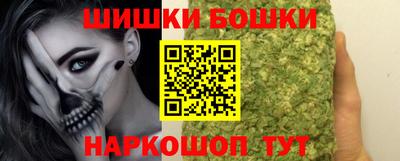 гашик Жуковский